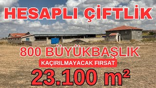 23 DÖNÜM ARAZİ İÇİ FİYAT VİDEODA  800 BÜYÜK BAŞLIK ÇİFTLİK  FIRSAT ARAZİ keşfet viparsa turkey [upl. by Sivla]