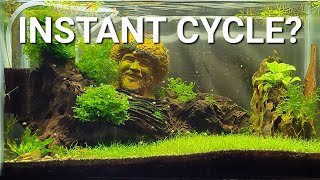 Can You Instantly Cycle An Aquarium Fast Aquarium Cycling Explained [upl. by Luhem508]