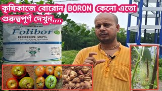 বোরোন BORON এর সঠিক ব্যবহার জেনে নিন  মাটিতে ও Spray হিসেবে বোরোন এর ব্যবহার [upl. by Dualc]