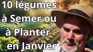 Les Incontournables du Potager en Janvier Nord vs Sud [upl. by Anelahs786]