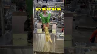 Bán nước mía bằng máy 2 lô inox lời bao nhiêu tiền  Model TP350 2MAX mayepmia mayepmiatanphat [upl. by Ylenats740]