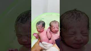 twins in first bath babyborn baby newbornbabymoments [upl. by Lemart]