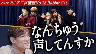 【Rabbit Cat】チャンネル登録者数27万人を誇るアカペラグループ。審査員が真の実力を見抜く。【第1回ハルモネア二次審査 Group No12】 [upl. by Aynwat]