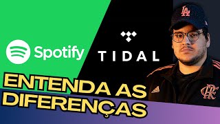 SPOTIFY x TIDAL  COMO ELES AFETAM SUA MIXAGEM [upl. by Esela588]