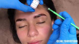 VIDEO 3 Curso Laminado de Cejas Aplicación de Químicos Para Laminado de Cejas [upl. by Gitt144]