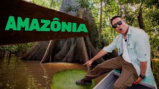 Amazônia  Biomas do Brasil  Ep11 [upl. by Peih]