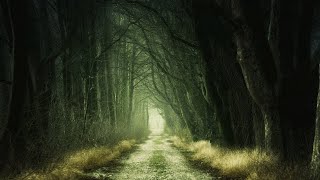 Top 12 Most Haunted Places in the World [upl. by Madora674]