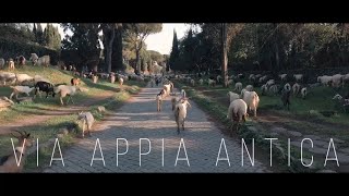 Via Appia antica aka APPIAN WAY in 4K a wonder of ancient Rome a UNESCO site unique [upl. by Piks]