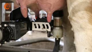 MelkroboterTest Der neue DeLaval VMS V300 [upl. by Pattison]