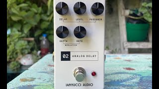 Iannucci Audio 02 Analog Delay [upl. by Iorio]