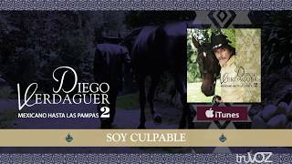 Diego Verdaguer  Soy Culpable Audio Oficial [upl. by Trebleht]