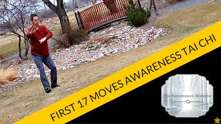 First 17 Moves of Awareness Tai Chi [upl. by Arreic904]