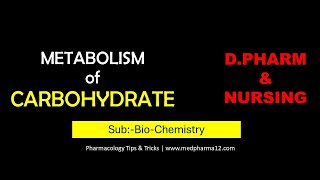 METABOLISM OF CARBOHYDRATE  GLYCOLYSIS  TCA CYCLE [upl. by Anirrok288]