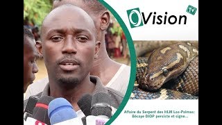 Affaire du Serpent des HLM LasPalmas Bécaye DIOP persiste et signe [upl. by Hoebart]