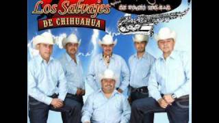 Los Salvajes De Chihuahua La Cumbia Bonita [upl. by Nahaj325]