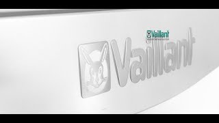 Vaillant Ecotec Boiler Servicing [upl. by Wolram]