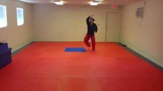 HwaRang Tae Kwon Do Form  Front View Slow [upl. by Eanehs]