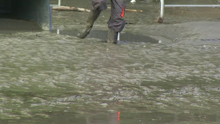 Reportage  Inondation du Sanctuaire de Lourdes se souvenir du 18 juin 2013 [upl. by Pepita]