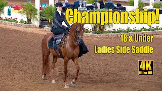 Side Saddle Championship at Scottsdale Arabian Horse Show [upl. by Atteuqaj759]