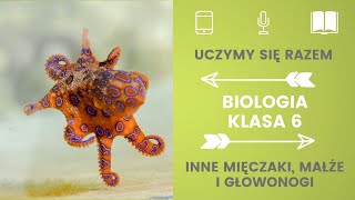 Biologia klasa 6 Inne mięczaki małże i głowonogi Uczymy się razem [upl. by Bertha]