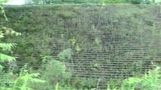 Vegetated GEOWEB® Geocell Retaining Wall [upl. by Ardnasxela]