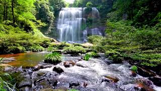 Waterfall flowing over rocks in forest 4k Relaxing flowing water White Noise for Sleep Meditation [upl. by Annitsirhc]