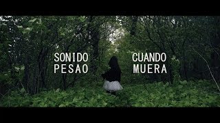 Sonido Pesao  Cuando Muera Official Video [upl. by Ahsekal612]