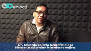 Diferencias Entre El Cerebro Masculino Y Femenino Neuropsiquiatra Louann Brizendine [upl. by Maurreen]