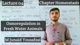 Osmoregulation in Fresh Water Animals  Kingdom of Biology  Homeostasis [upl. by Seyler760]