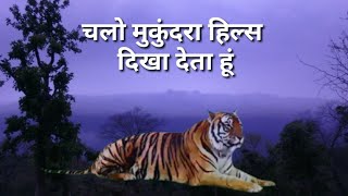 चलो मुकुंदरा हिल्स दिखा देता हूं  Mukundra Hills Tiger Reserve Kota [upl. by Asirap]