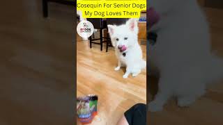 Cosequin For Senior Dogs Dog Supplement for Mobility  My Dog Loves Them  My Dog Supplement [upl. by Nnaegroeg]