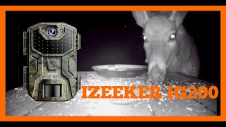 IZEEKER IG200 Trail Camera Review And Footage [upl. by Hartnett]