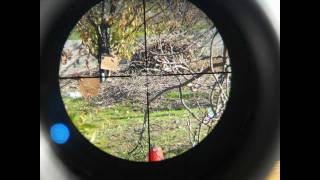 Air Rifle Hunting 4 New scope gamo 416x50 [upl. by Corenda756]