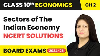 Sectors of The Indian Economy  NCERT Solutions  Class 10 Economics Chapter 2  CBSE 2024 [upl. by Hankins864]