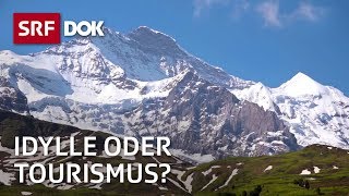 Das Jungfraujoch – Top of Europe  Spannungsfeld zwischen Tourismus und Idylle  Doku  SRF Dok [upl. by Alios]