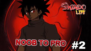 Going From NOOB To PRO On Shindo Life Part 2 Unlocking My DOKEI  Roblox [upl. by Narahs]