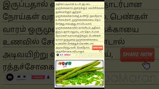 முருங்கைக்காய் உடல் சூட்டை குறைக்குமா ⚡  drumsticks healthbenefits tamil healthtips shorts [upl. by Sink]