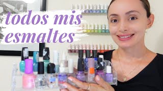 Organizando todos mis esmaltes amp Esmaltes que quiero usar en el mes [upl. by Lorens955]