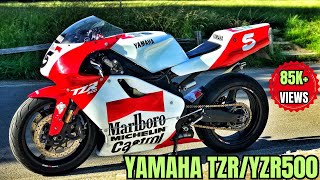 Yamaha YZR500 replica TZR500 startup [upl. by Anelis]