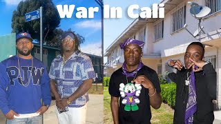 Watts Deadly War PJ Watts Crips VS Grape Street Crips [upl. by Abita351]