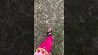 Rain and hailstones Short Vlogs [upl. by Mccreery]