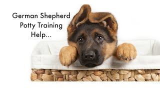 Potty Training your German Shepherd Puppy 6 German Shepherd Housebreaking Tips Puppy Potty Training [upl. by Grinnell]