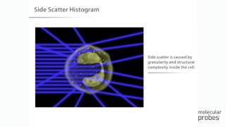 Molecular Probes Tutorial Series—Introduction to Flow Cytometry [upl. by Ayatnohs]