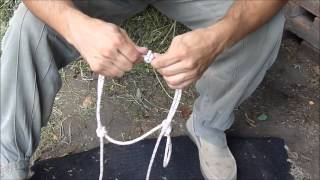 Como hacer Jáquima cabezal o bozal de cuerda Rope Halter  con Cristobal Scarpati [upl. by Nelleeus]