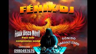 🎚️🔊🕺INTI RAYMI MIX 2024 🎚️🔊🕺  FÉNIX DJ [upl. by Aikel]