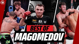 Dont Mess with The TIGER 🐅  Magomed Magomedov Highlights  Bellator MMA [upl. by Mook603]