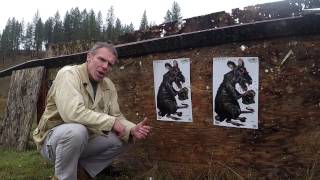 Shooting a 9mm at 50 and 100 yards [upl. by Barnaby455]