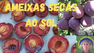 Como Fazer Ameixas Secas ao Solplantesaudesustentavel [upl. by Neila]