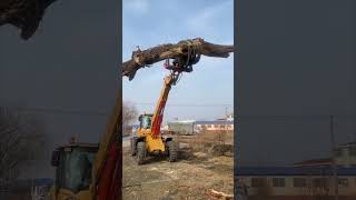 Multifunctional telescopic arm loader telescopic arm wood grabber telescopic arm forklift loader [upl. by Manolo308]