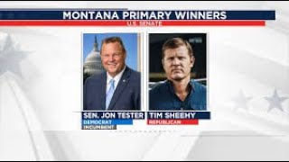 Montana US Senate Race  a tarot reading [upl. by Royden659]